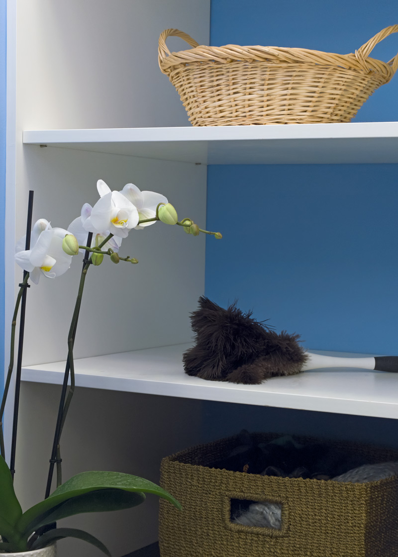 LakeShoreLaundry_Shelving